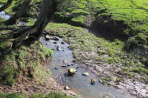 Diffuse Pollution - What you need to know - Farming and Water Scotland