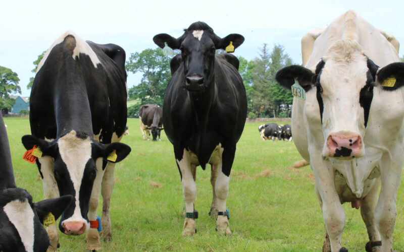 Farming and Water Scotland