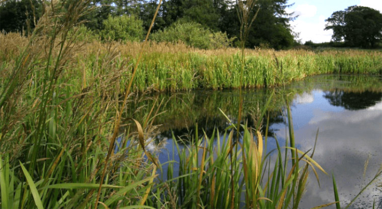 Farming and Water Scotland