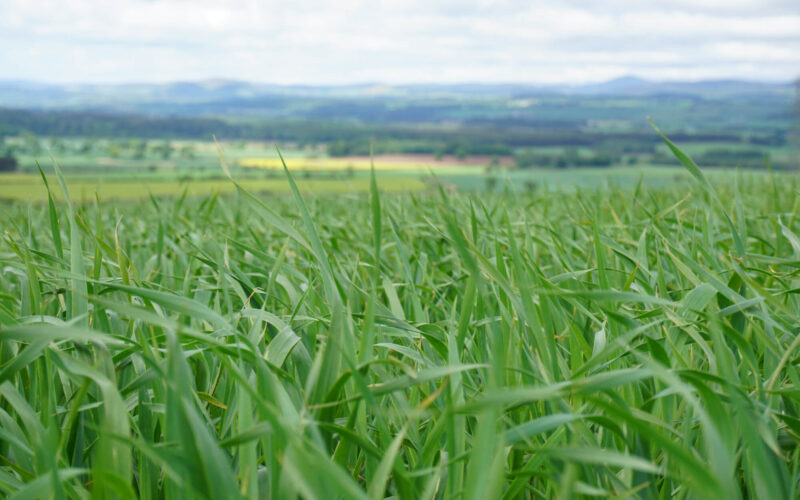 Farming and Water Scotland