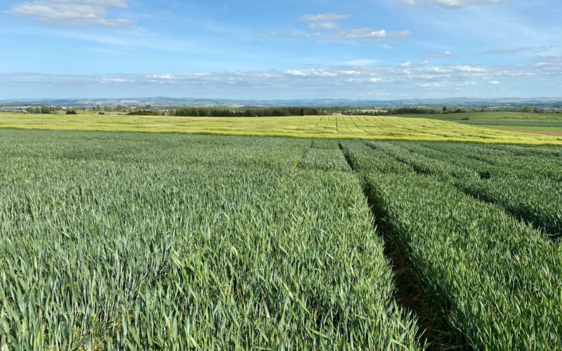 Farming and Water Scotland