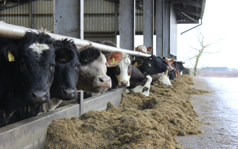 Farming and Water Scotland