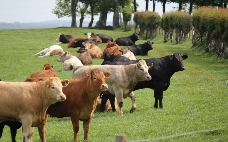 Farming and Water Scotland