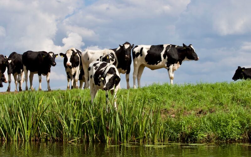 Farming and Water Scotland