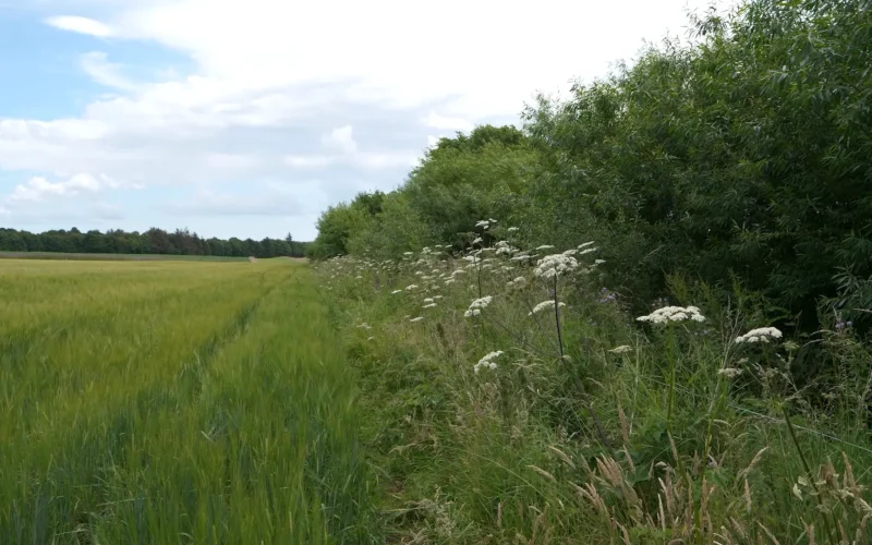 Farming and Water Scotland