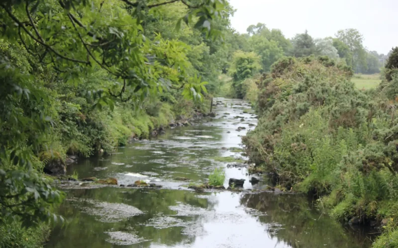 Farming and Water Scotland