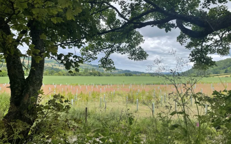 Farming and Water Scotland