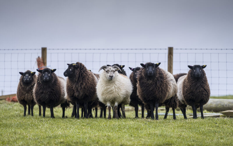 Farming and Water Scotland