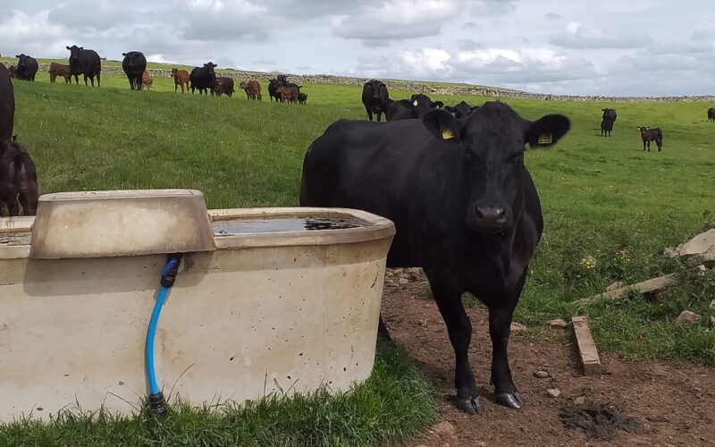 Farming and Water Scotland