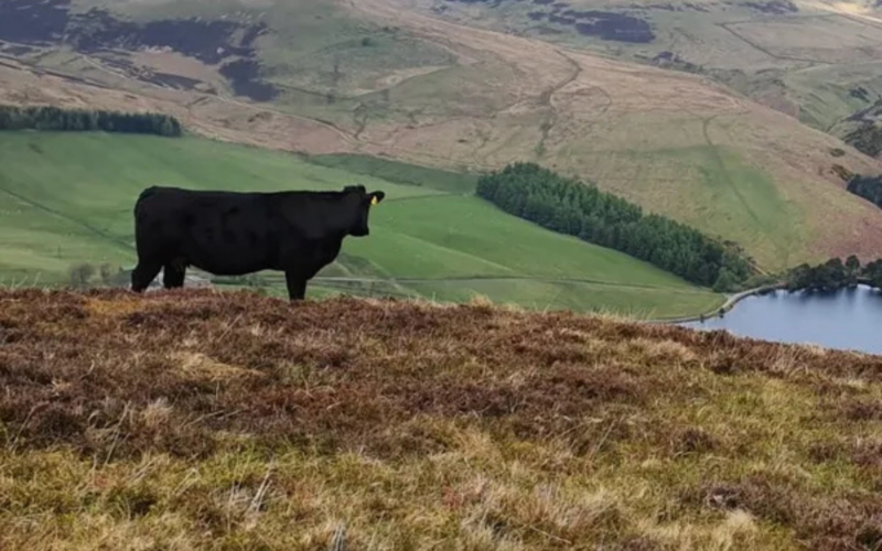 Farming and Water Scotland