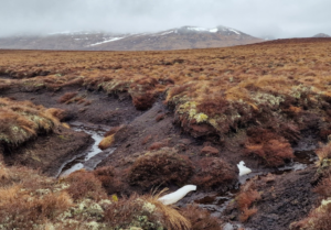 An vast peatland with exposed peat in the foreground due to a deep peat hag.