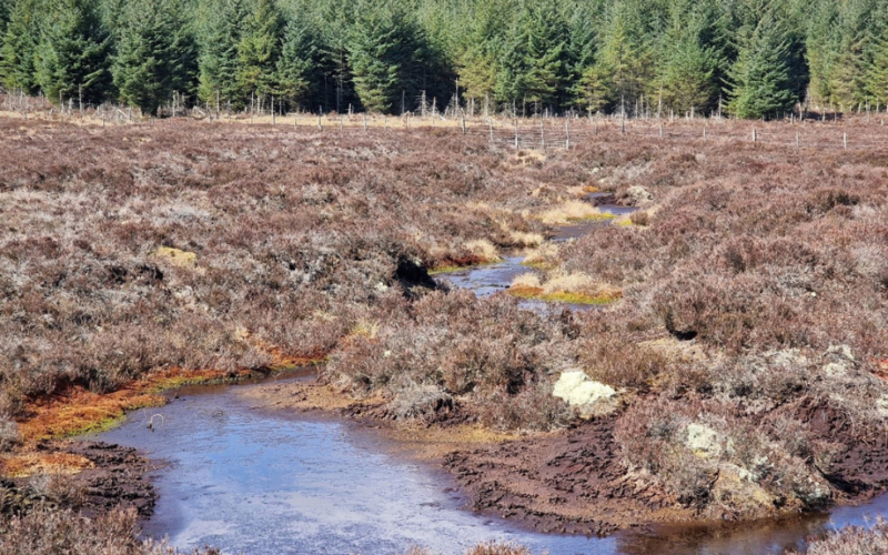 Farming and Water Scotland