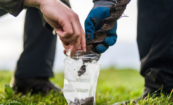 A soil sampling bag being filled by two people's hands - one person's hand is holding the bag open and the other gloved hand is pushing soil off a soil auger into the bag.